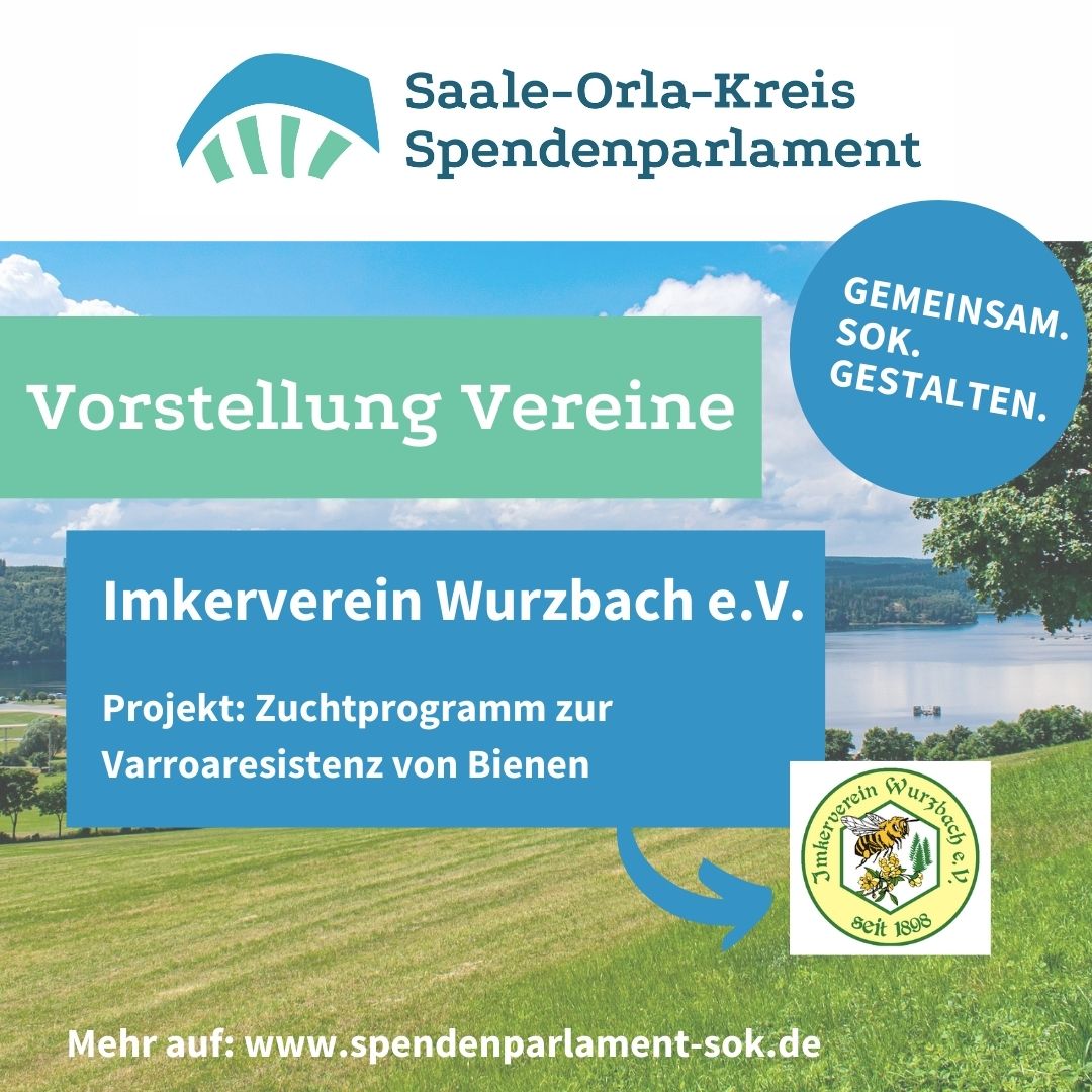 You are currently viewing Vorstellung Vereine – Imkerverein Wurzbach e.V.